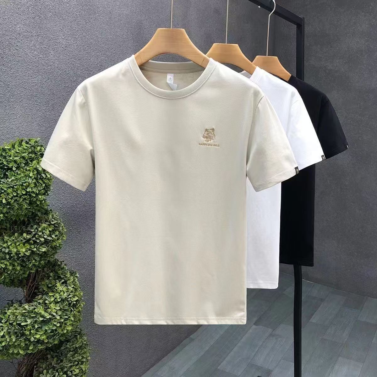 Short-sleeved T-shirt Men's 2025 Summer New Loose Opaque Pure Cotton Bottoming Shirt Teen Trendy Top T-shirt Ins