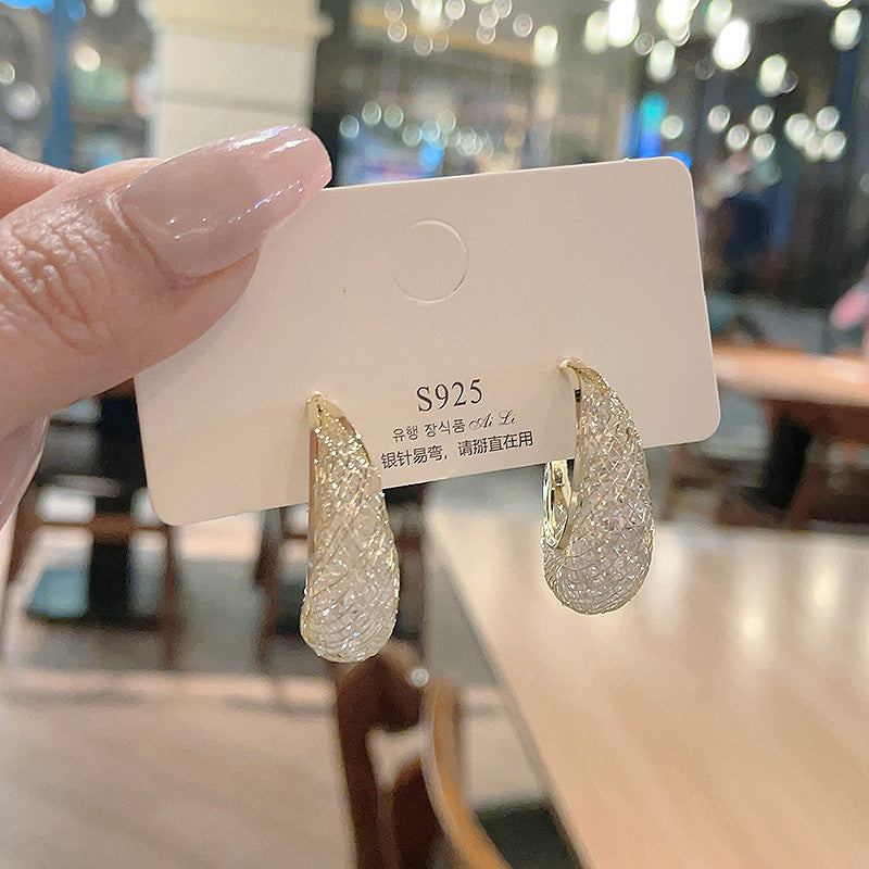 XP17 Exquisite Super Flash Mesh Yarn Zircon Earrings Women's Ins Tide Light Luxury Niche High-end Design Stud Earrings