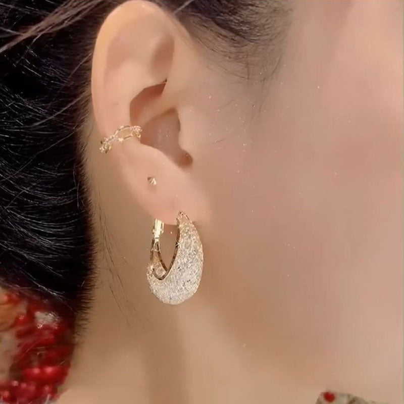 XP17 Exquisite Super Flash Mesh Yarn Zircon Earrings Women's Ins Tide Light Luxury Niche High-end Design Stud Earrings