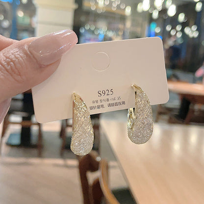 XP17 Exquisite Super Flash Mesh Yarn Zircon Earrings Women's Ins Tide Light Luxury Niche High-end Design Stud Earrings