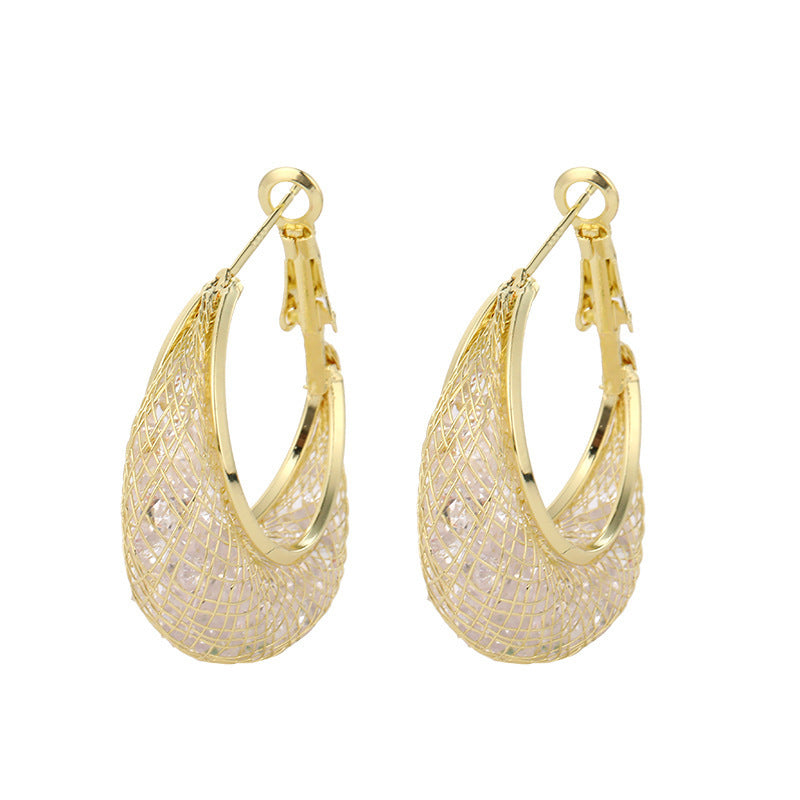 XP17 Exquisite Super Flash Mesh Yarn Zircon Earrings Women's Ins Tide Light Luxury Niche High-end Design Stud Earrings