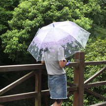 Transparent Umbrellas Wholesale Long-handled Umbrellas Internet Celebrities Automatic Umbrellas Advertising Umbrellas Can Be Ordered in Batches At Low Prices